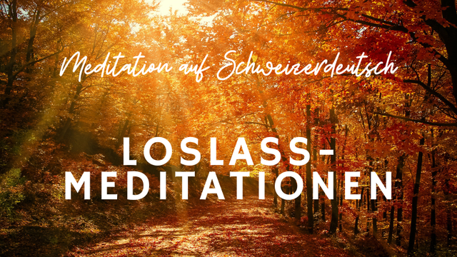 Umfangreiches Meditations-Paket (Online Kurse)