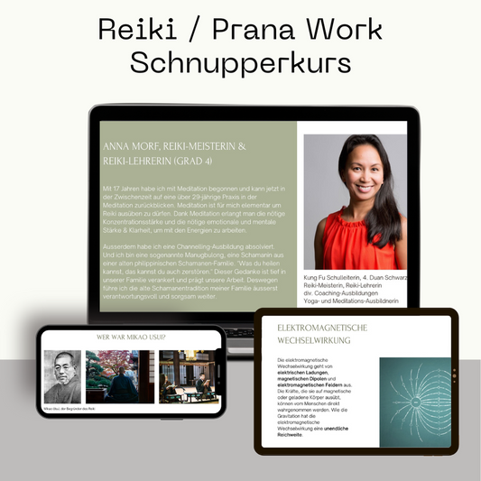 Reiki / Prana Work Schnupperkurs